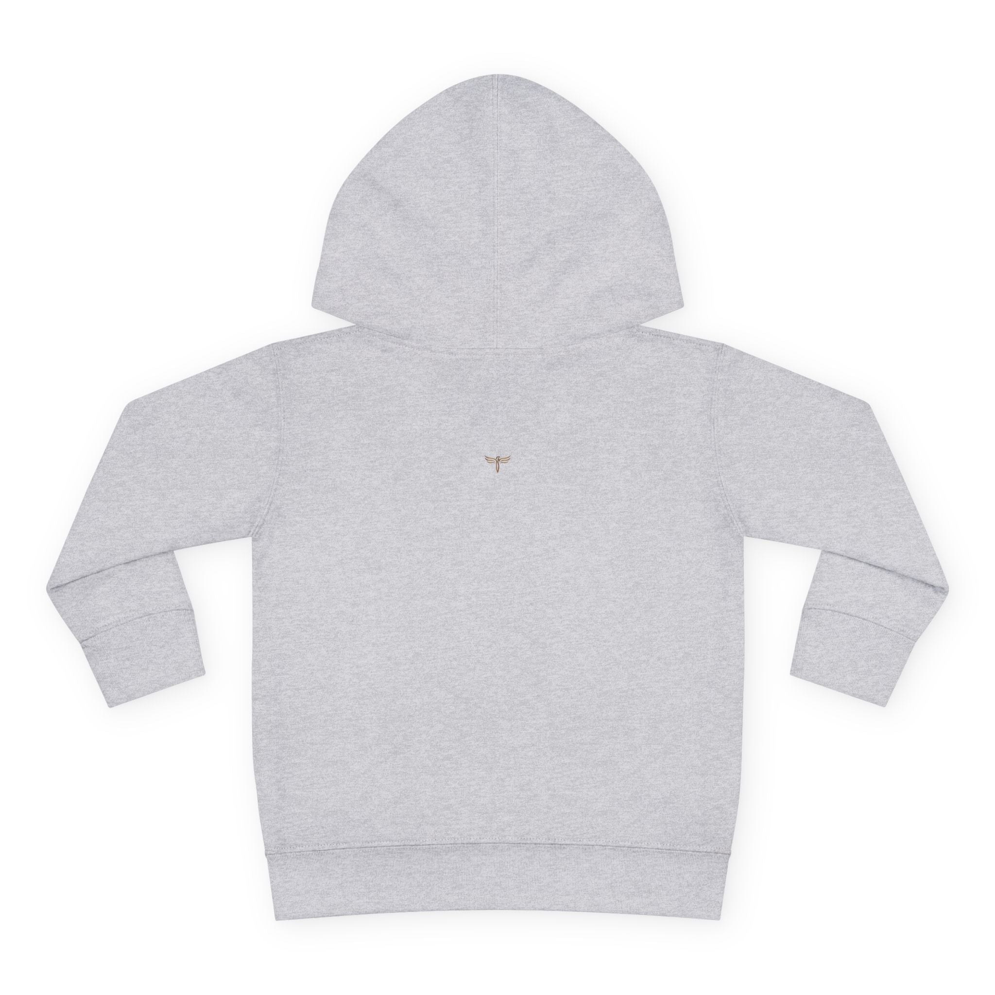 Toddler Hoodie - TRY Brazil