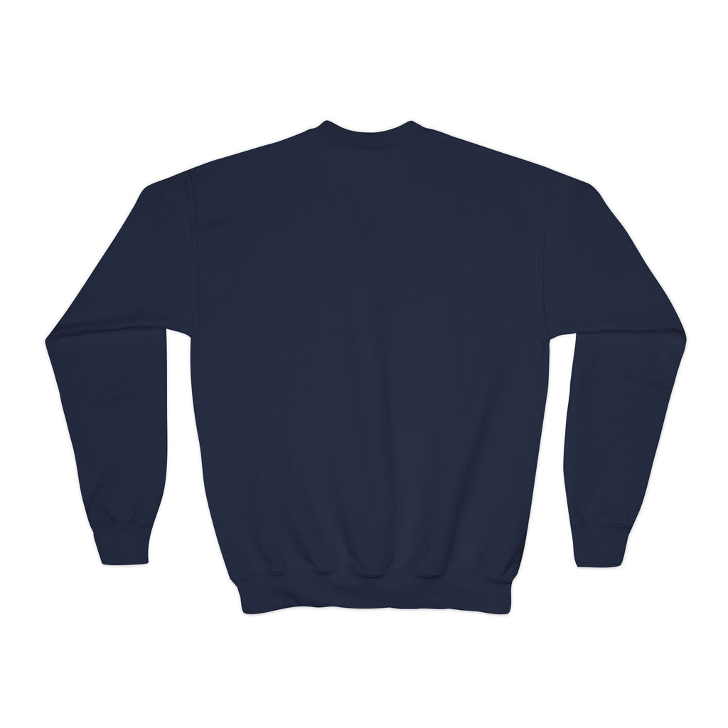 Youth Sweatshirt - TRY Brazil