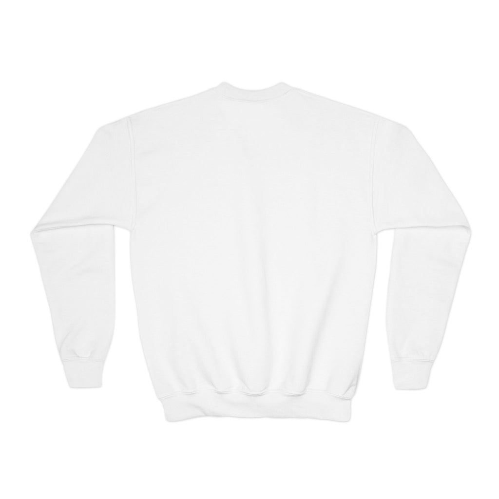 Youth Sweatshirt - TRY Brazil