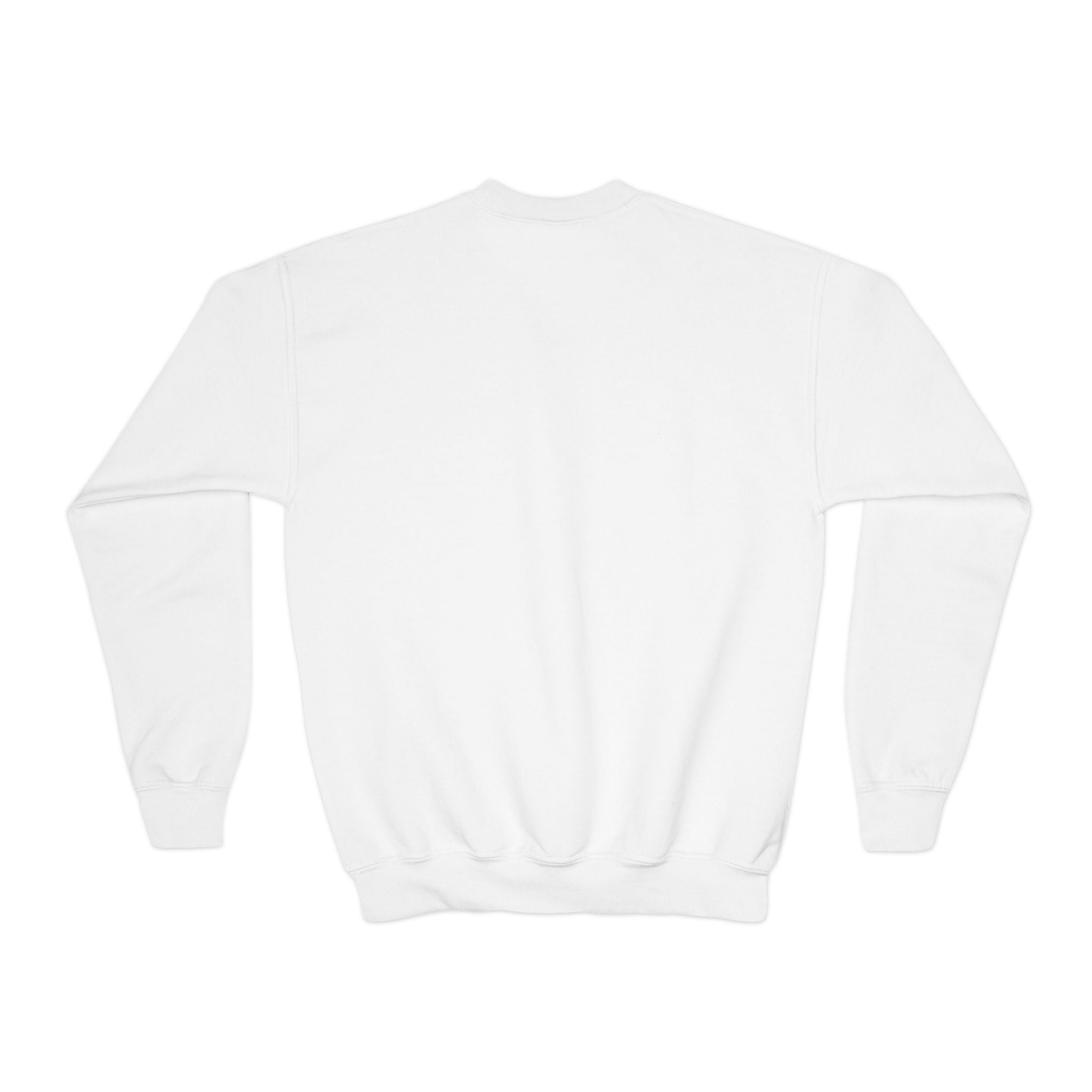 Youth Sweatshirt - TRY Brazil