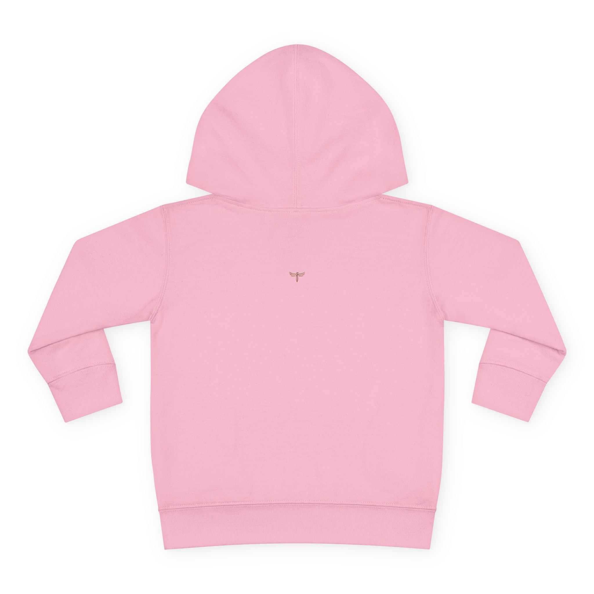 Toddler Hoodie - TRY Brazil