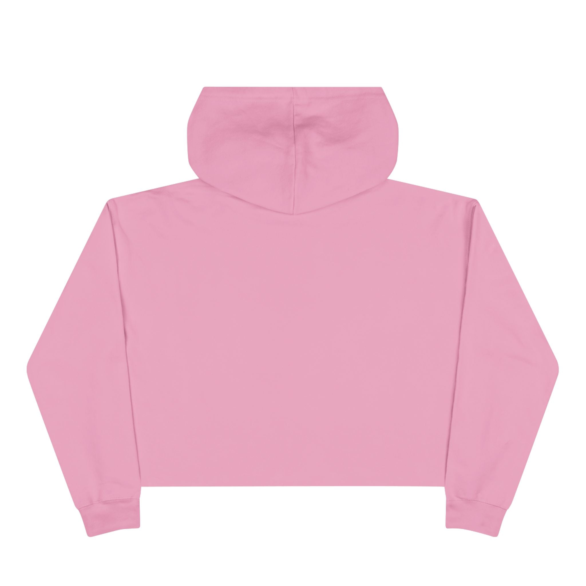 Minimalist Cropped Hoodie - TRY Brazil