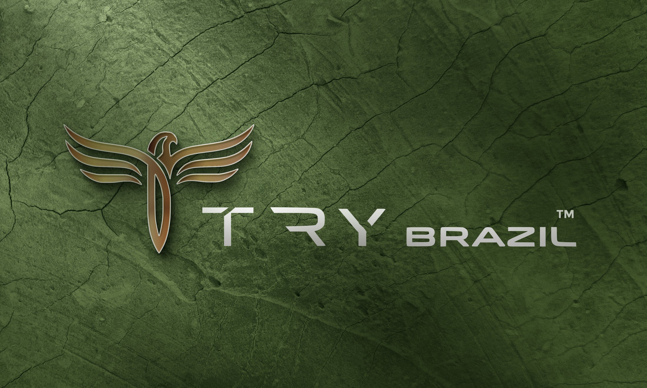 Uma imagem de capa com a logomarcar da Try Brazil